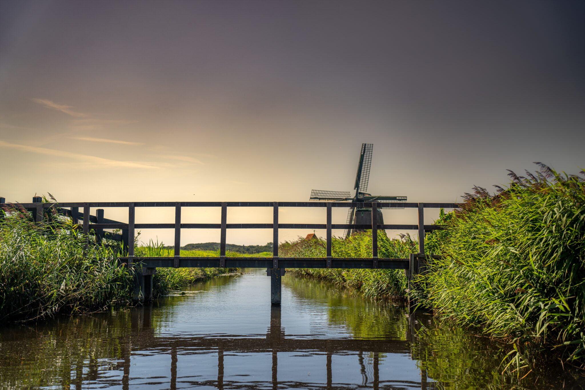 Dutch Scenery