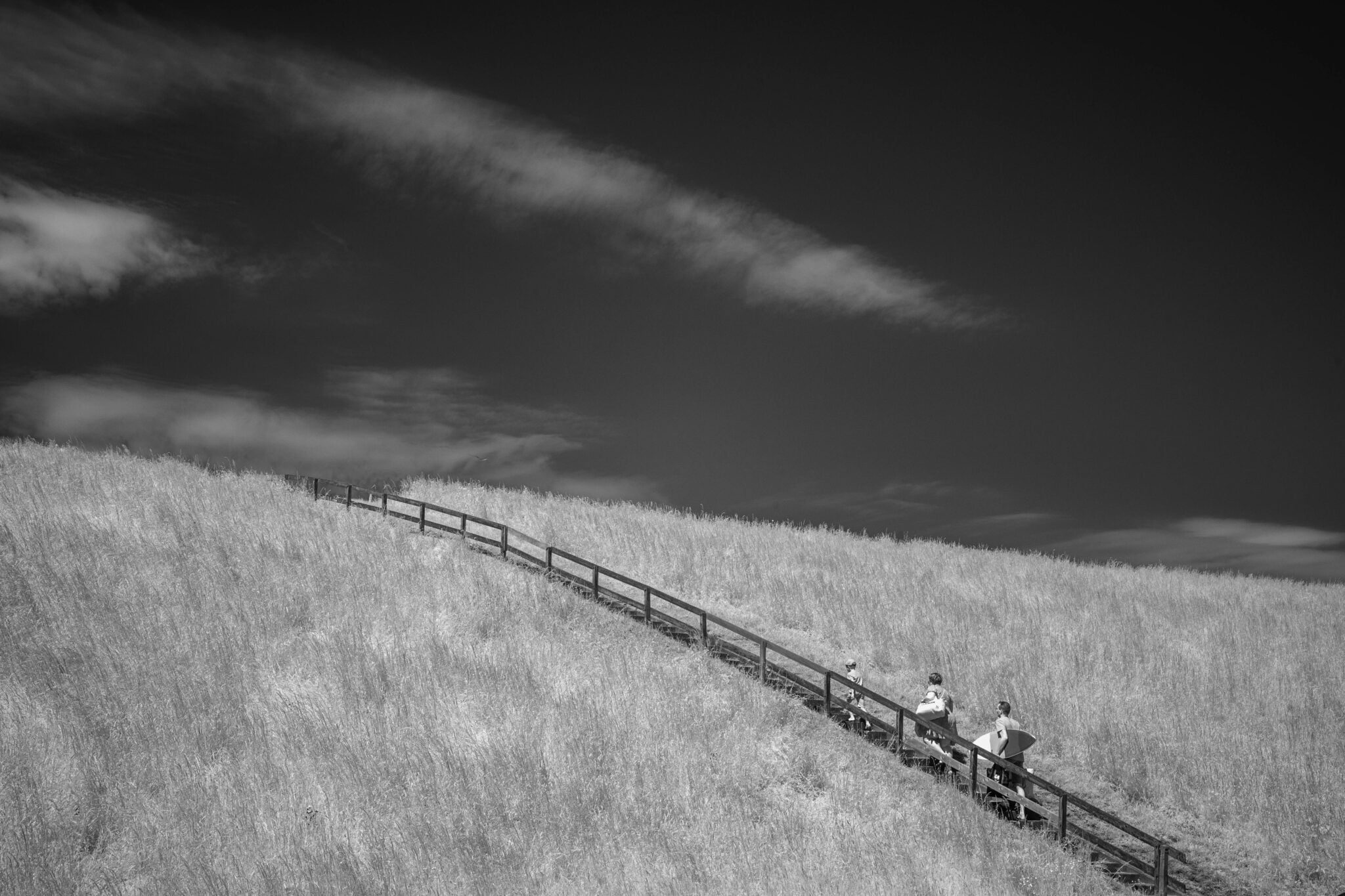 A Surreal Coastal Stroll